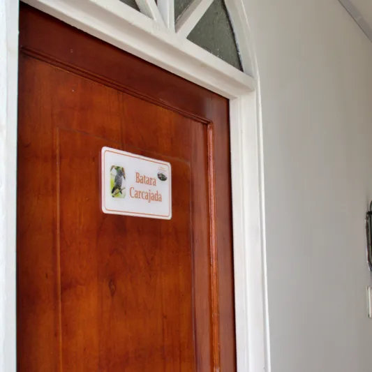 Batara Carcajada.jpg entrada