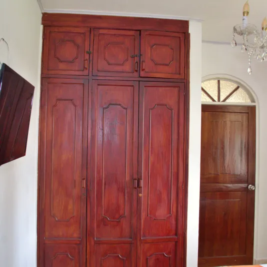 Colibri Corruscans 2