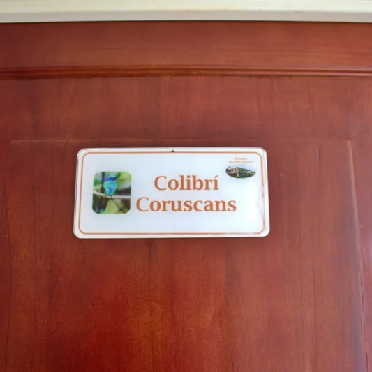 Colibri Coruscans entrada