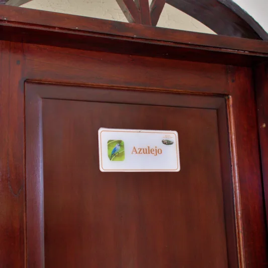 Azulejo entrada